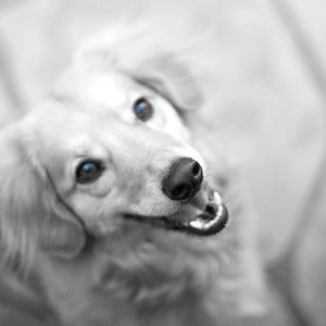 Meet your Posher, Nora